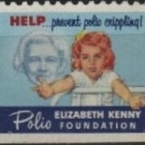 zz-new-additions-1dc