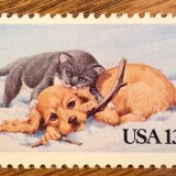 2025_Puppy-and-Kitten_MNH_1982