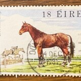 20260226_035049795_iOS-1