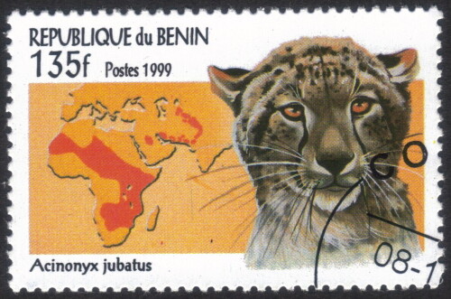 Benin-Stamp-01190u.jpg