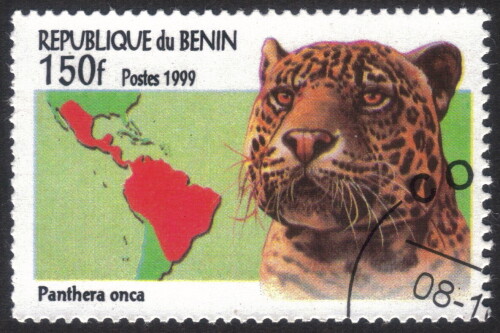Benin-Stamp-01191u.jpg