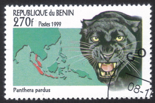 Benin-Stamp-01193u.jpg