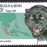 Benin-Stamp-01193u