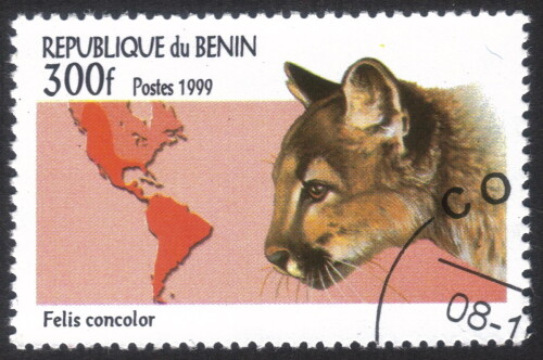 Benin-Stamp-01194u.jpg
