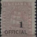 guyana-SG153