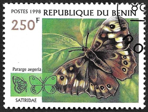 Benin-Stamp-01107Du.jpg
