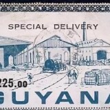 guyana-special-delivery-single