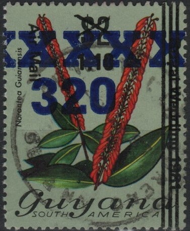 guyana-new-2.jpg