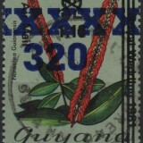 guyana-new-2
