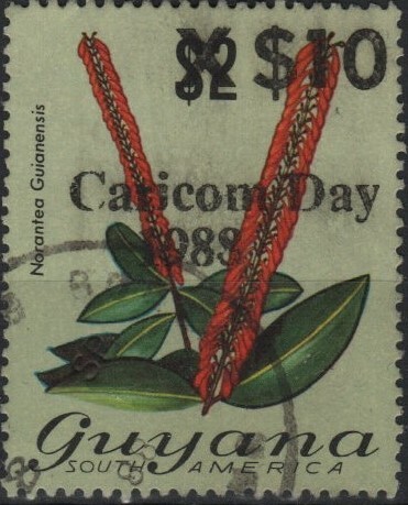 guyana-new-3.jpg