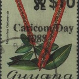 guyana-new-3