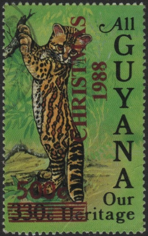 guyana-christmas-1988-3.jpg