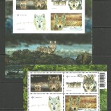Scan_20260823