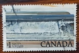 IMG_1335.jpg