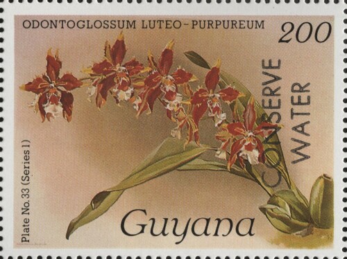 guyana-2342.jpg