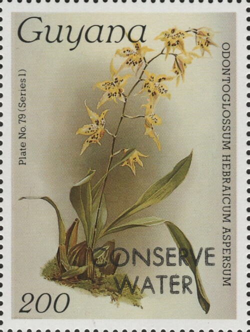 guyana-2343.jpg