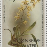 guyana-2343