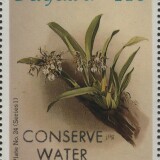 guyana-2344