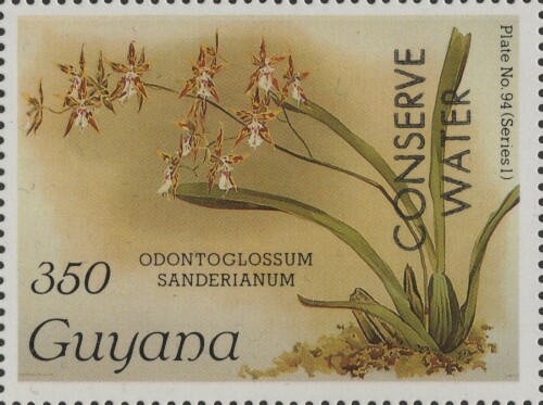 guyana-2345.jpg