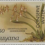 guyana-2345