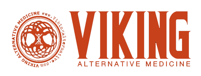 viking logo orange copy