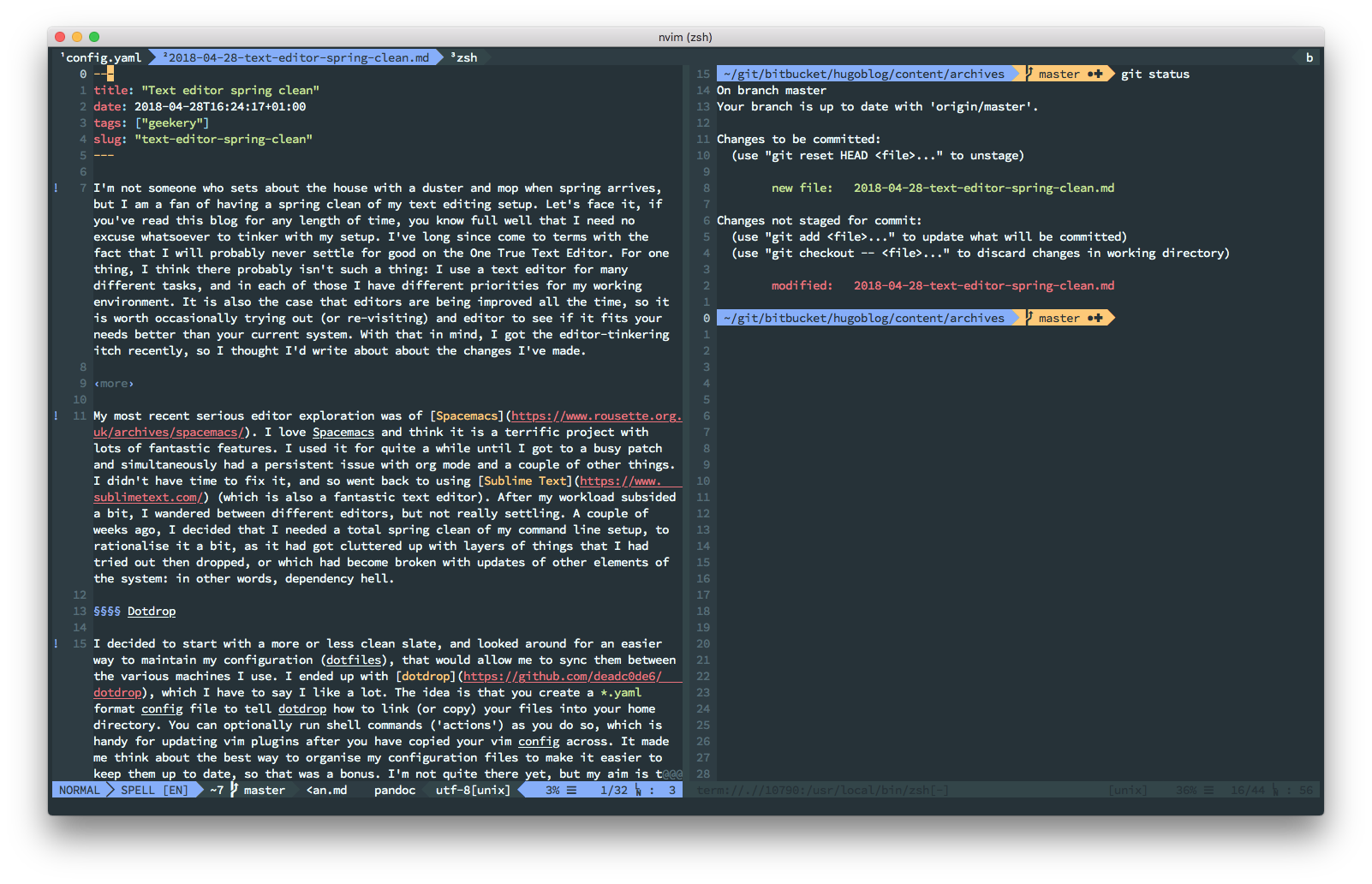 neovim windows