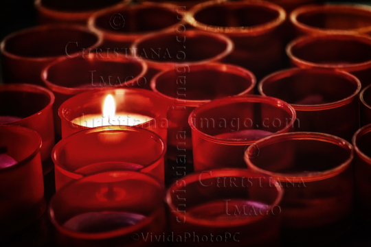 candle burning amongst extinguished 