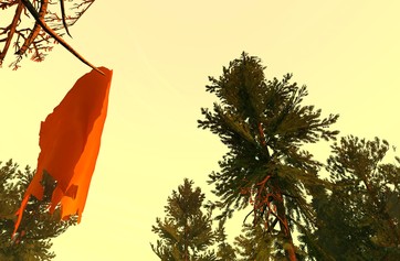 Firewatch photo thumbnail