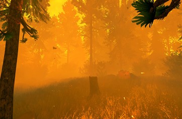 Firewatch photo thumbnail