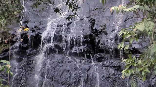 Puerto Rico, La Coca Waterfalls at El Yunque National Forest, 2000s