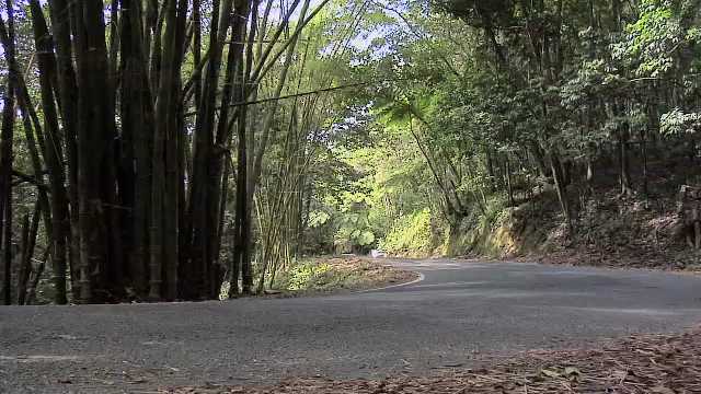 Puerto Rico, Road through the El Yunque National Forest, 2000s