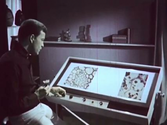 Retro-futurism, Astro-Physiscist Working at Laboratory, USA, 1960s