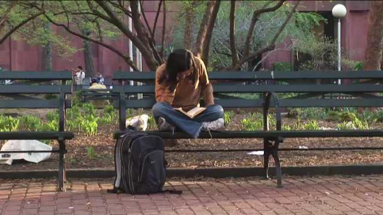 New York City, Washington Square Park, Girl Reading on Bench, USA, 2000s