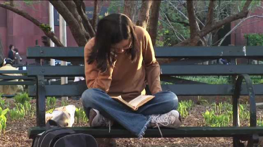 New York City, Washington Square Park, Girl Reading on Bench, USA, 2000s