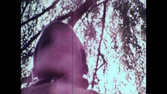 Boy in Tree, USA, 1970s