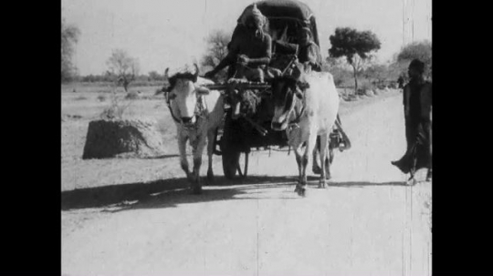 Ox-Drawn Carriage, Rural Road, India, 1930s