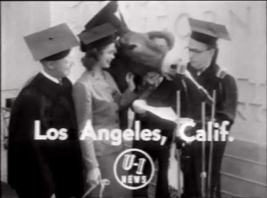 Francis the Mule Receives Diploma, USA, 1951