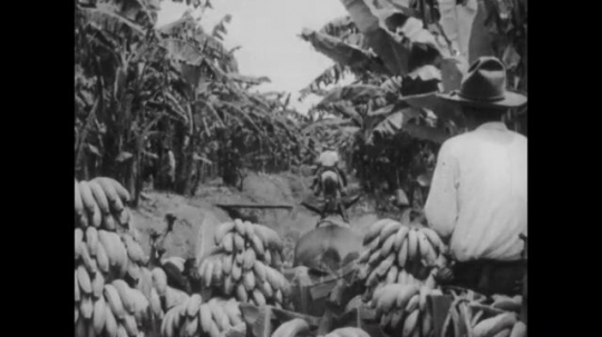 Puerto Barrios, Harbor, Street Scenes, Banana Plantation, Guatemala,  1930s