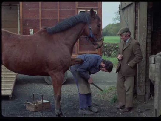 Horse Shoeing, England, UK, 1970s