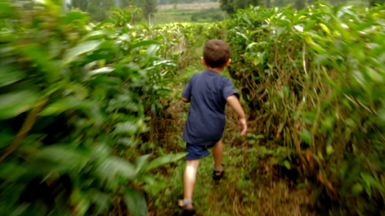 Boy Running Through Green Fields, Indonesia, 2010s