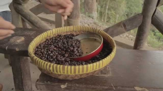 Woman Pours Coffee Beans in Grinder, Indonesia, 2010s