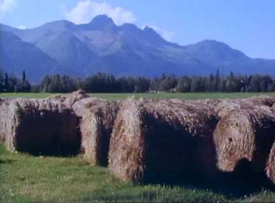 Matanuska Valley, Farms, Alaska, USA, 1980s