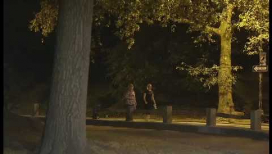New York City, Central Park, Pedestrians, Bicycles, Jogger with Dog, Night, USA, 2010s