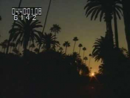 Beverly Hills, Sunrise, Palm Trees, California, USA, 1990s