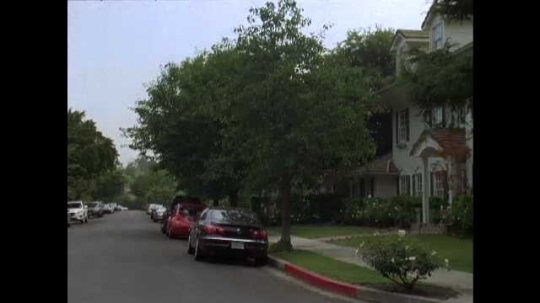 Los Angeles, Residential Neighborhood, Homedale and Beloit, California, USA, 2010s
