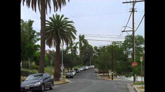 Los Angeles, Queen Anne Abbery, Winding Street, Residential, California, USA, 2010s