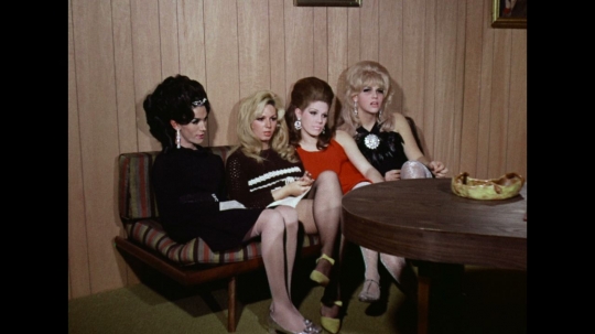 Trans Women Interviews, USA, 1960s