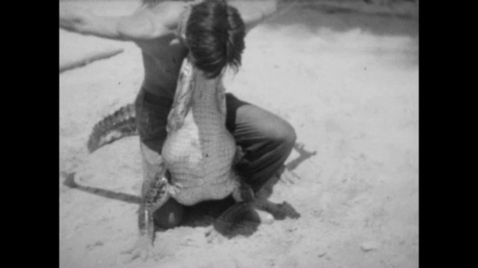Man Kissing and Wrestling Alligator, Florida, USA, 1930s