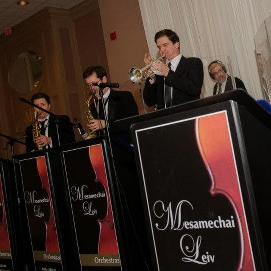 Mesamechai Leiv Orchestras avatar