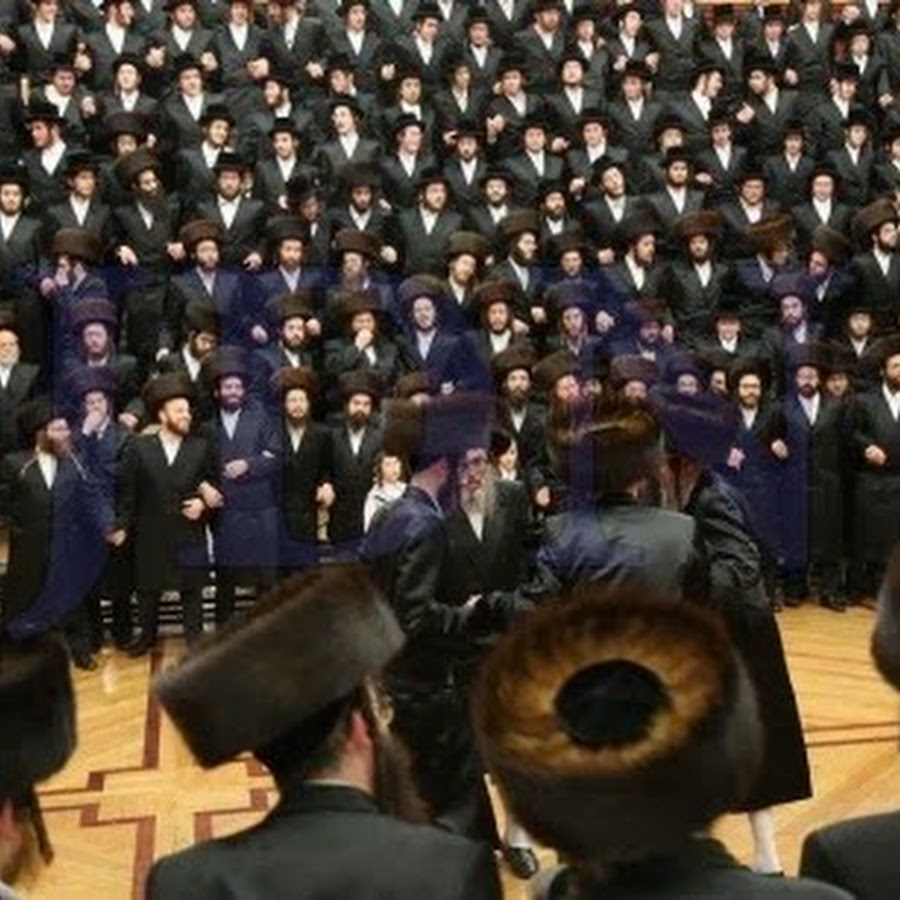 Rebbe Clips avatar